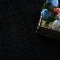 Tapis de salon en acrylique noir uni, à poils longs et bouclés, écologique, sans formaldéhyde, tufté et tissé
