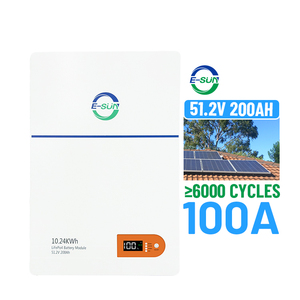 Batterie de stockage d'énergie solaire ESun 15 kWh pour maison, 51,2 V 300 Ah, pack de batteries solaires lithium-ion, montage vertical - Product Image 5