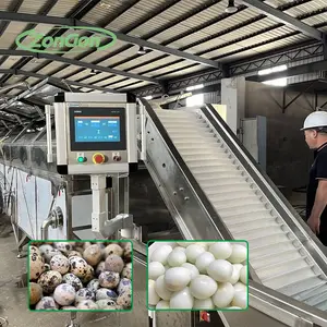 메추라기 달걀 대용량 필링 포격 생산 라인 기계