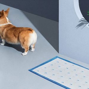 Meilleures ventes 2024 : Tapis absorbants jetables pour chiots, directement de l'usine chinoise, produits pour chiens à prix avantageux, innovation, meilleure vente - Product Image 5