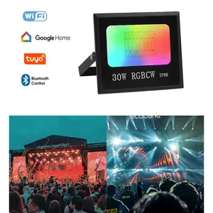 Led Schijnwerpers Rgb Kleurveranderende 10W-100W Outdoor Bluetooth Smart Rgb Schijnwerper App Control