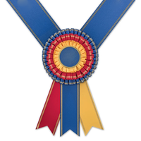 Rubans et rosettes personnalisés en satin pour concours équestres, badges de championnat avec impression de logo