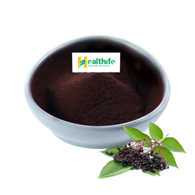 Healthife Elderberry 추출물 유기 Elderberry 과일 분말