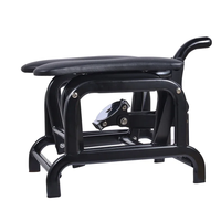 Sexmöbel Love Chair Gleitmaschine für Frauen Masturbator Sexspielzeug für Damen Teleskop-Dildo Anal-Vagina Sex Erwachsenenspiele