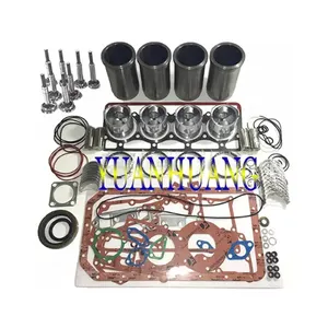 V2203 Motor Wederopbouw Kit Met Pakking Kit Motorkleppen Lagers Set Gloeiboug Thermostaat Voor Kubota