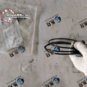 Proman 9X-7684 9X7684 2.62 X 40.94mm 75A NBR O-Ring para Trator de Esteira <span class=keywords><strong>CAT</strong></span> D6 D6XE D6 XE e Motor de Caminhão C15 - Product Image 6