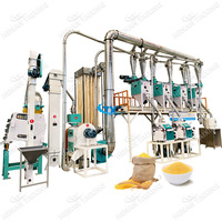 Moulin à maïs à petite échelle pour ligne d'équipement de traitement de farine de maïs de farine d'Arepa en Amérique du Sud