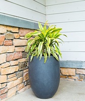 Pot Bunga Beton Bulat Ekstra Besar untuk Taman, Pot Tanaman Beton Luar Ruangan untuk Pohon Eucalyptus & Tanaman Hijau Dalam Ruangan