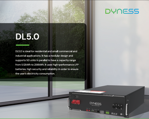 Livraison rapide Dyness 51.2v 5.12kwh Batterie au lithium 51.2v Batterie solaire 100ah 5.12kwh Dyness Dl5.0 Lifepo4 - Product Image 2