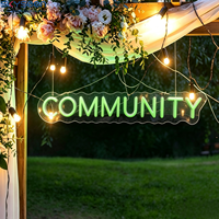 Lettres lumineuses LED personnalisées SKYSEEN, enseignes néon en acrylique, bandes LED, enseignes électroniques pour mariage, entreprise, maison, décoration d'événements