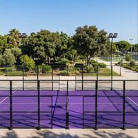 Fabricante de Pistas de Pádel Personalizadas, Venta Directa, Cancha de Pádel de Alta Calidad con Césped Artificial Morado, Solución Completa Llave en Mano, Precio al por Mayor