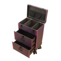 Chariot de beauté mobile haut de gamme pour tatouage, maquillage, soin des pieds, nettoyage des oreilles, avec roulettes omnidirectionnelles et tiroir