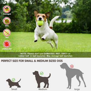 Lanzador de Pelotas Automático para Perros, Juguete de Plástico para Cachorros, Precio de Fábrica, Entrega Rápida, Productos para Mascotas - Product Image 5