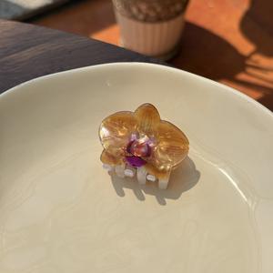 Liwu lindo dibujo animado acrílico pelo garra estilo coreano Mini tamaño 5cm flequillo Clip para niños uso diario accesorios para el cabello - Product Image 4