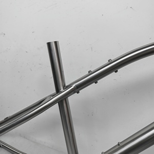 Pinion p1.18 khung xe đạp Titan với khung dưới hộp số bên trong 18 tốc độ - Product Image 3