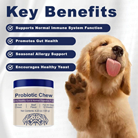 Probiotiques pour chiens sous forme de friandises molles saveur bœuf, complément nutritionnel pour animaux de compagnie pour la santé intestinale, marque privée disponible sur commande