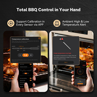 Thermomètre à viande sans fil INKBIRD INT-31-BW WiFi 5G et Bluetooth 5.4 avec 5 capteurs