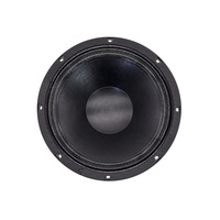 Haut-parleur de médium-grave 10 pouces en néodyme 10NMB420 500W 16 Ohm pour système Line Array et home cinéma 100dB 262Hz