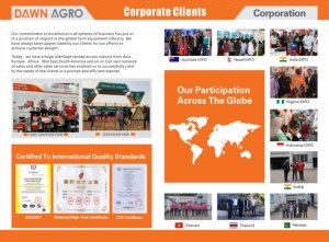 เครื่องบดแป้งข้าวโพดแบบดิสก์ DAWN AGRO เครื่องบดเมล็ดพืช เครื่องบดอาหารสัตว์ เครื่องบดแบบพกพาใช้แก๊สโซลีน - Product Image 5