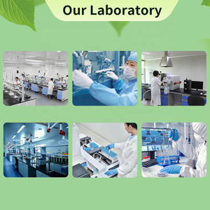 Giao hàng nhanh chóng sư tử bờm nấm polysaccharides hericium erinaceus mycelium Bột Sư tử của bờm nấm chiết xuất - Product Image 6