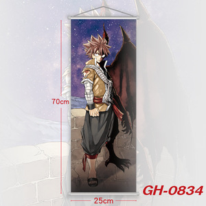 12 Designs Haute Qualité Japon Anime Fée Etherious Natsu <span class=keywords><strong>Dragneel</strong></span> Peintures Suspendus Tissu Affiche Mur Défilement Affiche - Product Image 3