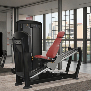 Máquina de Extensión de Piernas Profesional de Alta Calidad para Entrenamiento de Fuerza en Gimnasio, con Peso Integrado, Modelo LK-038B - Product Image 6