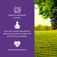 Extrait de pépins de raisin 400 mg 100 capsules Complément antioxydant naturel pour la santé cardiaque et la défense contre les radicaux libres