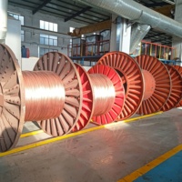 Venta Directa de Fábrica, Cable Solar de Cobre Estañado PV1-F, 25 Años de Vida Útil, Alta Resistencia a la Abrasión, Clasificación IP65, LSZH Flame