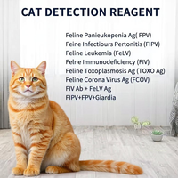 Diagnostic pour animaux de compagnie certifié CE de haute précision Test rapide vétérinaire Félin Calicivirus FCV Ag Kit de test Diagnostic rapide pour le commerce