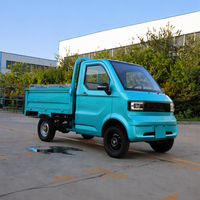 Nouveau véhicule électrique certifié européen EEC COC, camionnette électrique 2 places, mini-camion chinois, fourgonnette électrique pour adultes