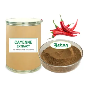 US Stock Pungency 30000 SHU 100% Pure Natural Synthetic Capsaicin Cayenne Pepper Extract Powder 98% 99% Capsaicin Powder In Bulk