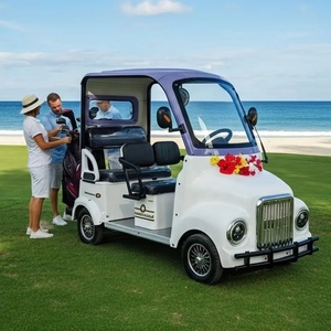 Holladay Cool Fashion <span class=keywords><strong>Scooter</strong></span> Elettrico a 4 Ruote per il Tempo Libero, Mini Quadriciclo Elettrico per Passeggeri, Quadriciclo Elettrico per il Turismo - Product Image 5