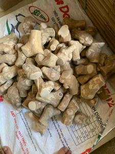 Proveedor de Palitos de Masticar de Madera de Café de Alta Calidad, Venta Directa de Fábrica en Vietnam con el Mejor Precio - Product Image 5