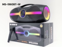 Haut-parleur portable sans fil Bluetooth avec microphone et caisson de basses 24W, lecteur sport pour la maison, cadeau, fête RGB MS-1960BT-W