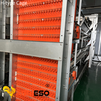 Agrieso Z275 Acier inoxydable galvanisé à chaud pour cage clé en main pour poulets de chair et poules pondeuses