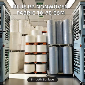 Personnalisation de <span class=keywords><strong>tissu</strong></span> non tissé Spunbond 50 GSM, <span class=keywords><strong>tissu</strong></span> non tissé PP, <span class=keywords><strong>tissu</strong></span> Spunbond SS/SMS - Product Image 6