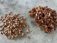Industriële dadelontpitmachine, dadelontpitter voor rode dadels, jujubes, kersen, olijven, palmdadels, voedselverwerkingsapparatuur