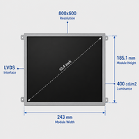 Modul LCD TFT TN SVGA 10,4 Inci NLT NLB104SV01L-01 800x600 LVDS WLED Backlight 400cd/m2 Kecerahan Tinggi Layar Industri