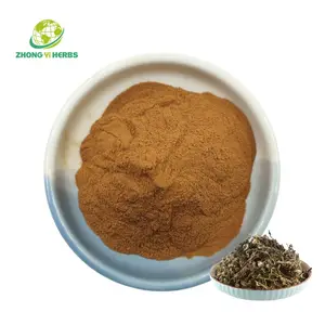 Pure Herb Dandelion Flavonoids 4% Dandelion Flavone Dandelion Extract