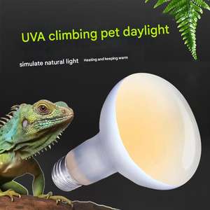 Lampe UV pour reptiles à longue durée de vie, lampe chauffante à vapeur <span class=keywords><strong>UVB</strong></span> pour reptiles, amphibiens, E27, lampe fluorescente chauffante <span class=keywords><strong>UVB</strong></span> pour tortues - Product Image 2