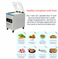 Machine d'emballage sous vide automatique électrique commerciale de type au sol DZ-500/2E en acier inoxydable pour sachets en aluminium