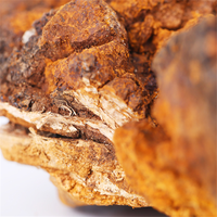 Bai Hua Rong, herbe chinoise, champignon Chaga entier séché, thé en vrac, thé santé