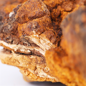 <strong>Bai</strong> <strong>Hua</strong> <strong>Rong</strong> Chinese Herb Organic Whole Dried Chaga Birch Mushroom for Herbal Tea - Product Image 3