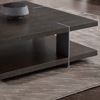 Ensemble de table basse moderne de luxe de haute qualité avec rangement et meuble TV pour appartement, villa, hôtel et bureau à domicile, meubles de salon