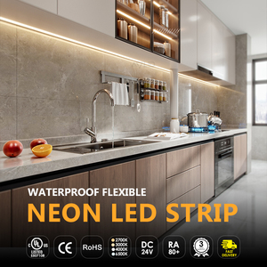 Tira de LED de Neón Flexible IP67 de 24v para Decoración de Dormitorios y Paisajes - Product Image 5