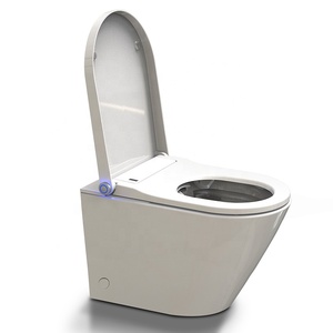 WC giapponese di lusso bagno sanitari <span class=keywords><strong>sciacquone</strong></span> <span class=keywords><strong>sciacquone</strong></span> <span class=keywords><strong>doccia</strong></span> WC - Product Image 4