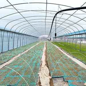 Multispan Temperature Control Cooling System Polytunnel Film Tunnel Tomato Greenhouse Agriculture Greenhouse For Vegetables