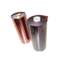 Film en polyimide 12,5 µm/25 µm (modèle Film en polyimide) pour isolation de transformateur classe C 260, certifié ROHS pour la marque