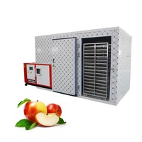 Professionele uien-droger, kokosvlees warmtepompdroger, machine voor het drogen van voedsel, groenten en fruit, appel, druif, rozijn droogapparatuur