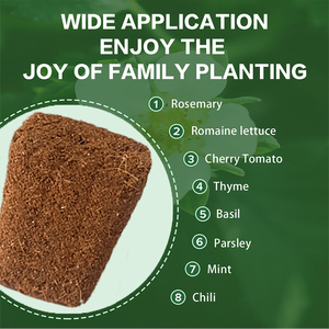 Bán buôn Coco than bùn xơ dừa phát triển phích cắm khởi động bọt biển đất bản sao Nông Nghiệp Nhà kính 50 cái với khay - Product Image 4